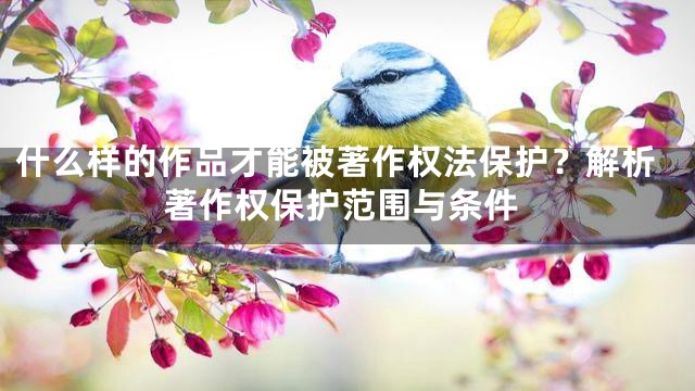 什么样的作品才能被著作权法保护？解析著作权保护范围与条件