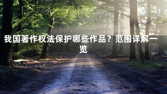 我国著作权法保护哪些作品？范围详解一览