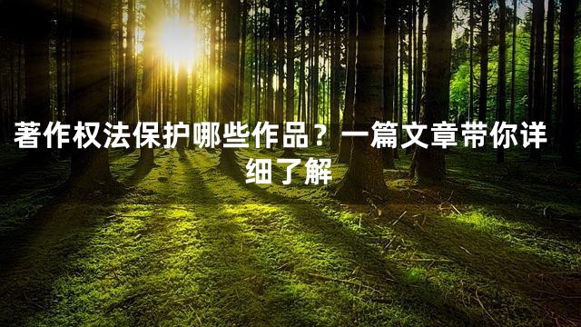 著作权法保护哪些作品？一篇文章带你详细了解