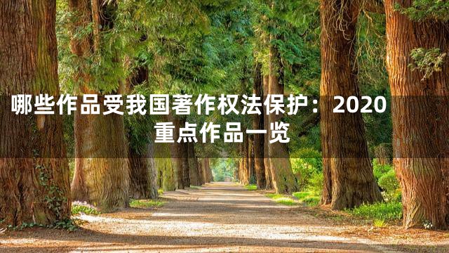 哪些作品受我国著作权法保护：2020重点作品一览