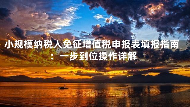 小规模纳税人免征增值税申报表填报指南：一步到位操作详解