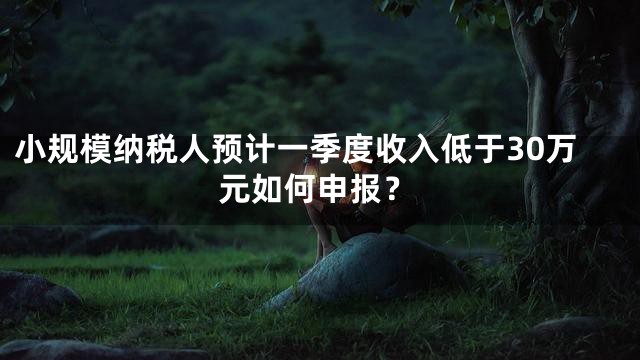 小规模纳税人预计一季度收入低于30万元如何申报？