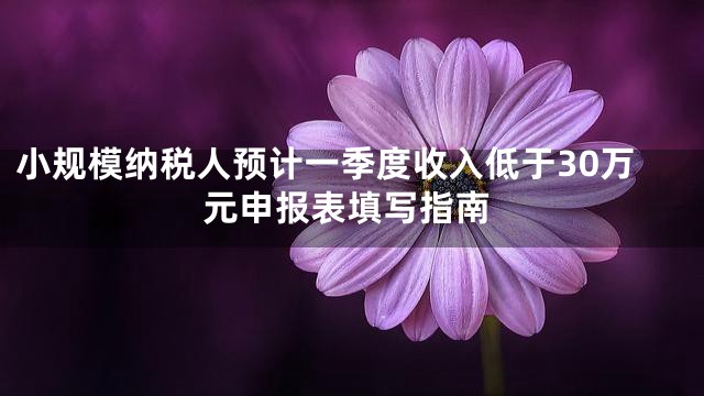 小规模纳税人预计一季度收入低于30万元申报表填写指南