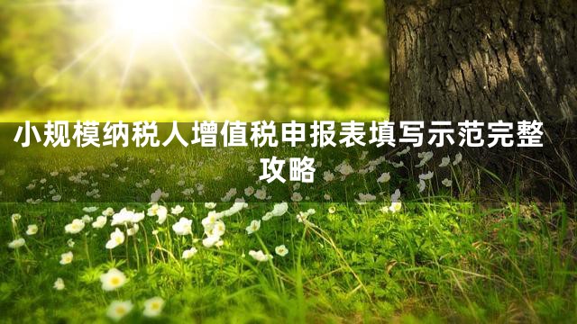 小规模纳税人增值税申报表填写示范完整攻略