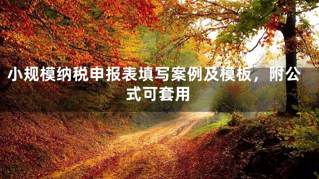 小规模纳税申报表填写案例及模板，附公式可套用