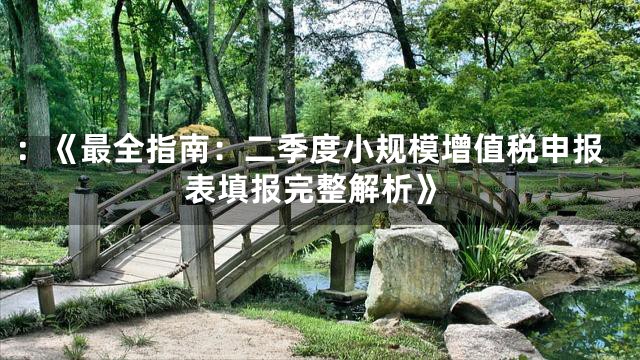 ：《最全指南：二季度小规模增值税申报表填报完整解析》