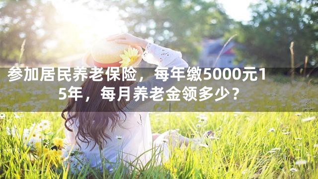 参加居民养老保险，每年缴5000元15年，每月养老金领多少？