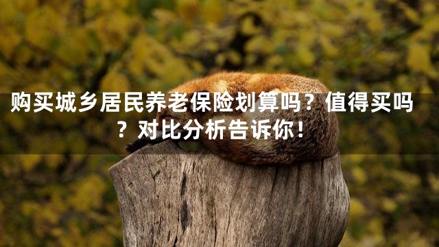 购买城乡居民养老保险划算吗？值得买吗？对比分析告诉你！
