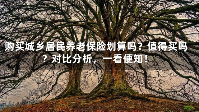购买城乡居民养老保险划算吗？值得买吗？对比分析，一看便知！