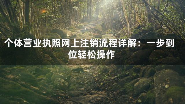 个体营业执照网上注销流程详解：一步到位轻松操作