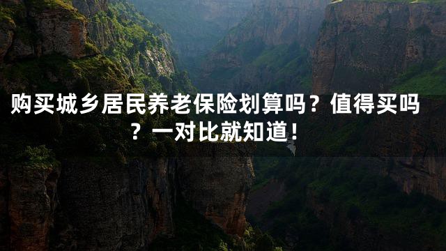 购买城乡居民养老保险划算吗？值得买吗？一对比就知道！