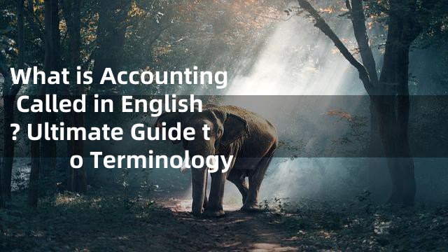 What is Accounting Called in English? Ultimate Guide to Terminology