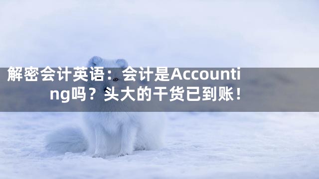 解密会计英语：会计是Accounting吗？头大的干货已到账！