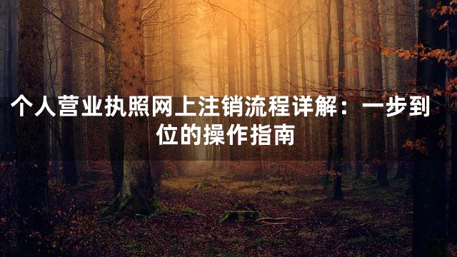 个人营业执照网上注销流程详解：一步到位的操作指南