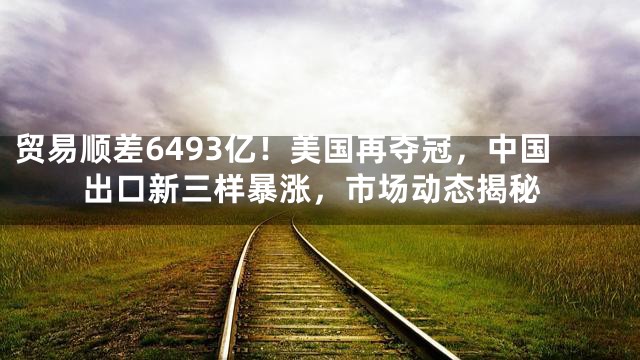 贸易顺差6493亿！美国再夺冠，中国出口新三样暴涨，市场动态揭秘