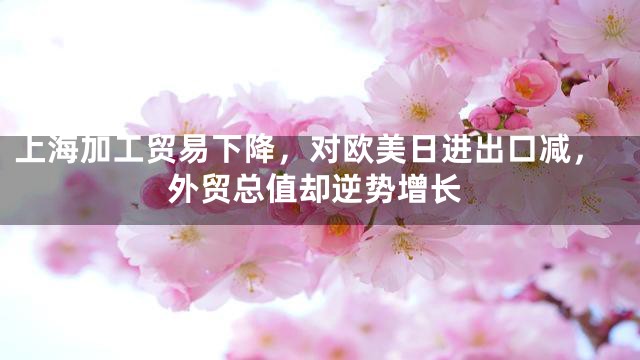 上海加工贸易下降，对欧美日进出口减，外贸总值却逆势增长