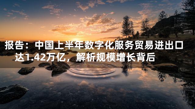 报告：中国上半年数字化服务贸易进出口达1.42万亿，解析规模增长背后