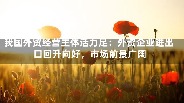 我国外贸经营主体活力足：外资企业进出口回升向好，市场前景广阔