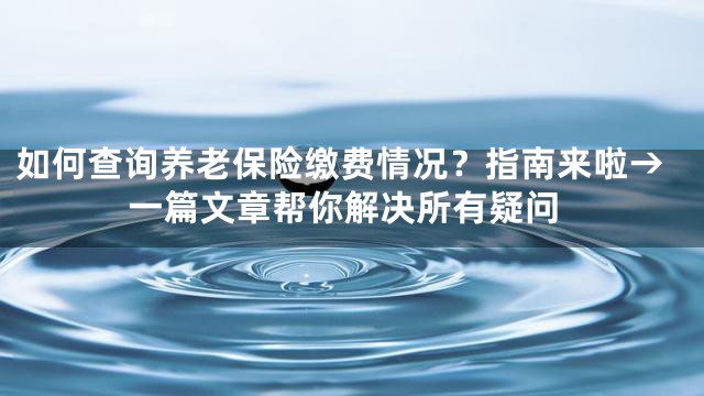 如何查询养老保险缴费情况？指南来啦→一篇文章帮你解决所有疑问