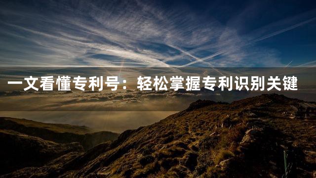 一文看懂专利号：轻松掌握专利识别关键