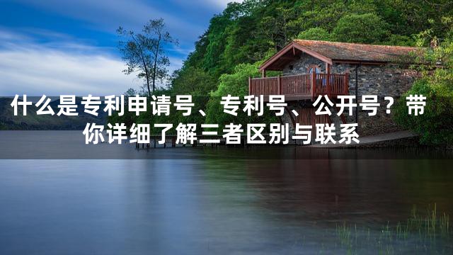 什么是专利申请号、专利号、公开号？带你详细了解三者区别与联系