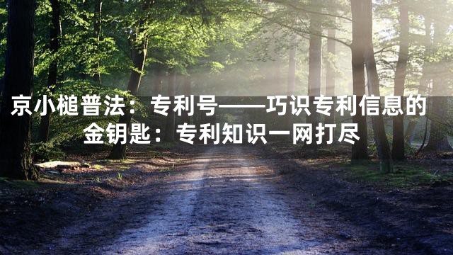 京小槌普法：专利号——巧识专利信息的金钥匙：专利知识一网打尽