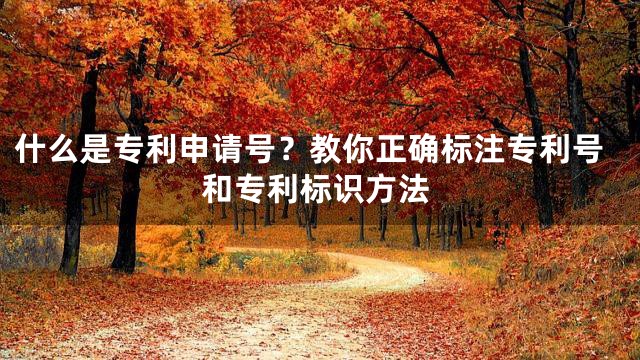 什么是专利申请号？教你正确标注专利号和专利标识方法