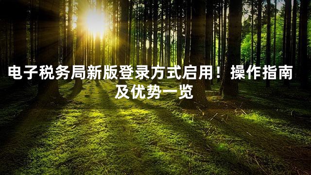电子税务局新版登录方式启用！操作指南及优势一览