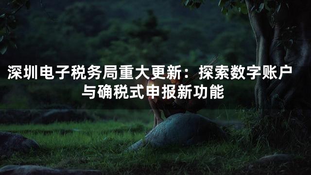 深圳电子税务局重大更新：探索数字账户与确税式申报新功能