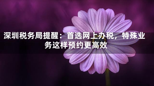 深圳税务局提醒：首选网上办税，特殊业务这样预约更高效