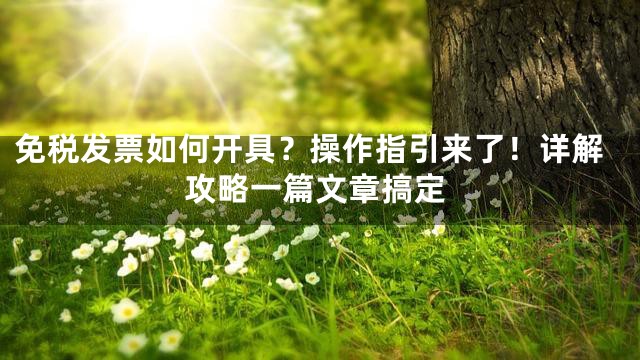 免税发票如何开具？操作指引来了！详解攻略一篇文章搞定