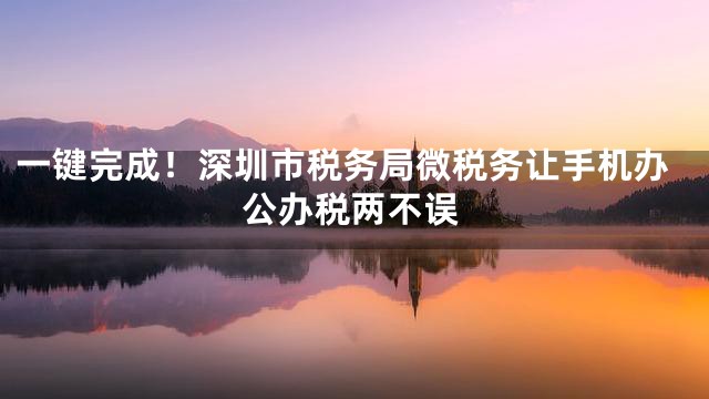 一键完成！深圳市税务局微税务让手机办公办税两不误