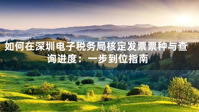 如何在深圳电子税务局核定发票票种与查询进度：一步到位指南