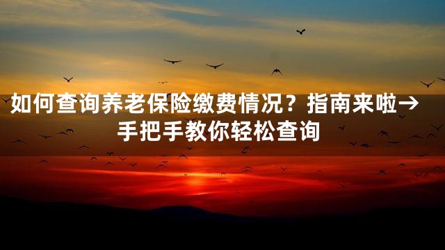 如何查询养老保险缴费情况？指南来啦→手把手教你轻松查询