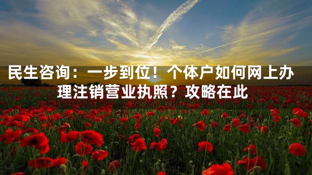 民生咨询：一步到位！个体户如何网上办理注销营业执照？攻略在此