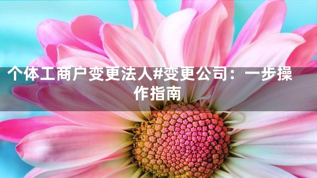 个体工商户变更法人#变更公司：一步操作指南