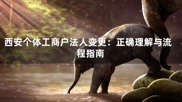 西安个体工商户法人变更：正确理解与流程指南