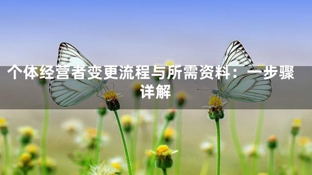 个体经营者变更流程与所需资料：一步骤详解
