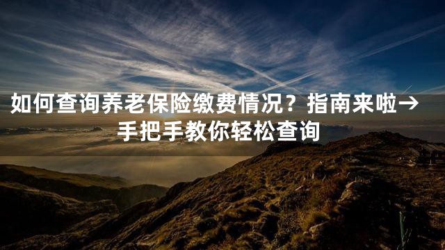 如何查询养老保险缴费情况？指南来啦→手把手教你轻松查询