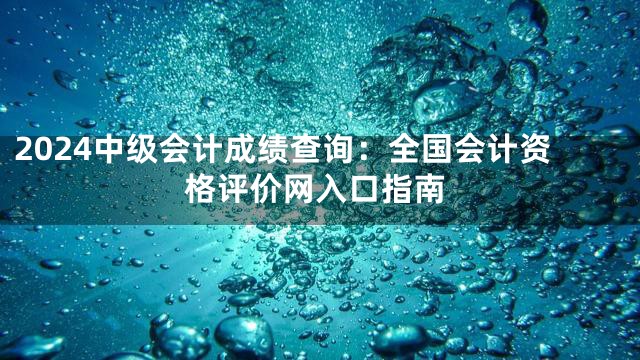 2024中级会计成绩查询：全国会计资格评价网入口指南