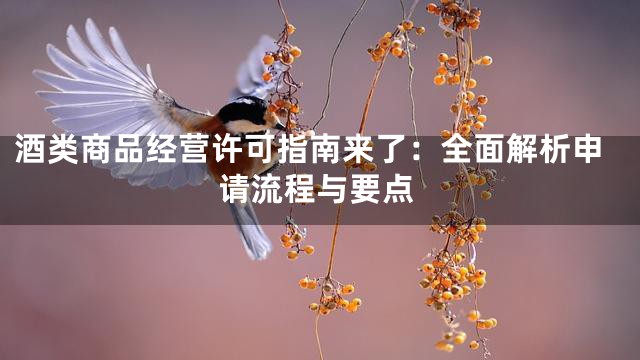 酒类商品经营许可指南来了：全面解析申请流程与要点