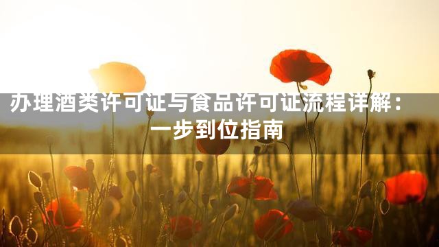 办理酒类许可证与食品许可证流程详解：一步到位指南