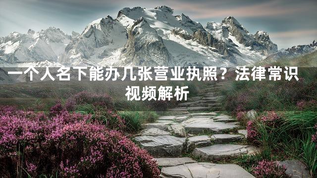 一个人名下能办几张营业执照？法律常识视频解析