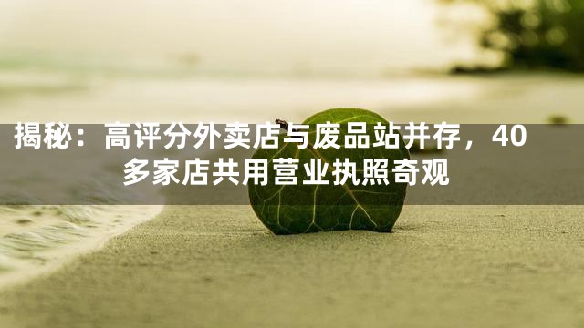 揭秘：高评分外卖店与废品站并存，40多家店共用营业执照奇观