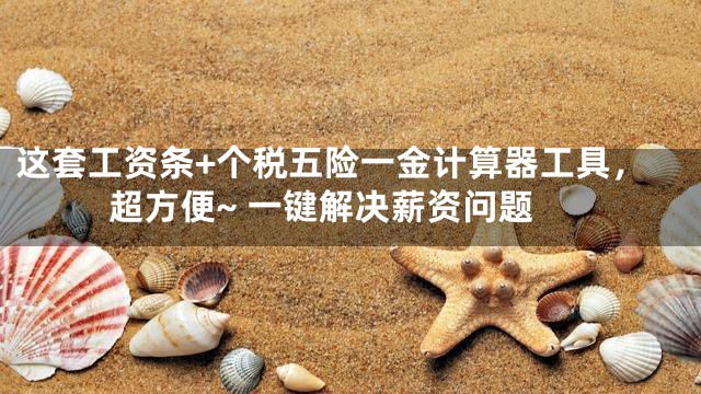 这套工资条+个税五险一金计算器工具，超方便~ 一键解决薪资问题