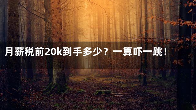 月薪税前20k到手多少？一算吓一跳！