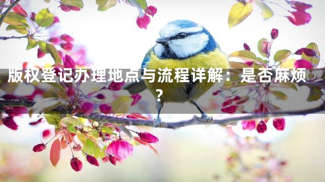 版权登记办理地点与流程详解：是否麻烦？