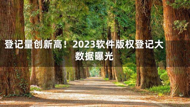 登记量创新高！2023软件版权登记大数据曝光