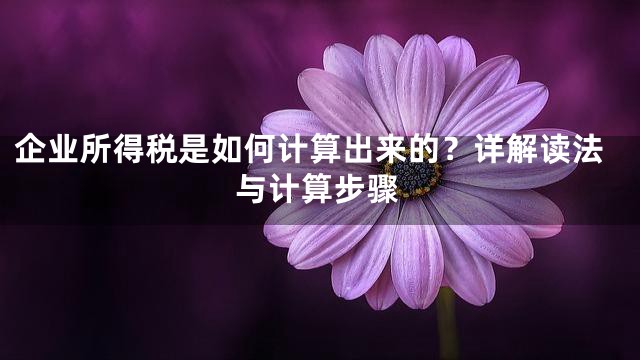 企业所得税是如何计算出来的？详解读法与计算步骤