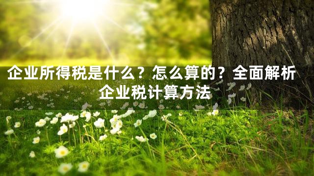 企业所得税是什么？怎么算的？全面解析企业税计算方法